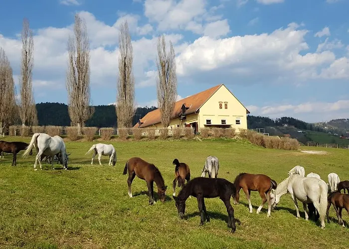 Gaestehaus Sabine Voitsberg